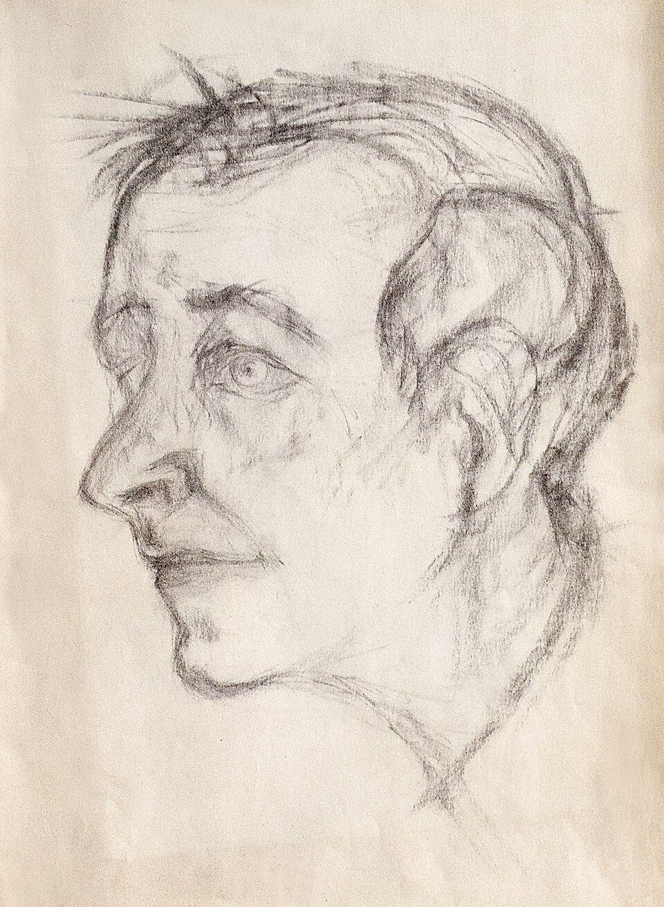 David Zippel